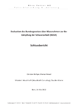 Evaluation des Bundesgesetzes über Massnahmen zur Bekämpfung der Schwarzarbeit (BGSA) - Schlussbericht-1